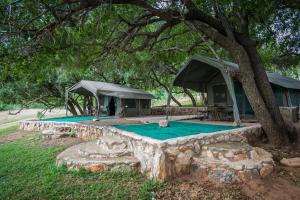 a group of tents under a tree at Maninghi Lodge in Balule Game Reserve