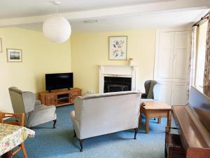 salon z telewizorem, kanapą i krzesłami w obiekcie Plas Dolau Country Estate w Aberystwyth