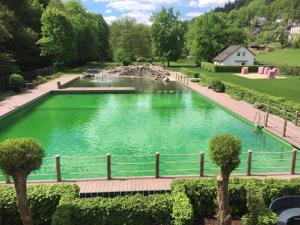 Piscina de la sau aproape de Haus Waldesruh