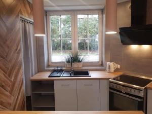 Kuchyňa alebo kuchynka v ubytovaní Apartamenty Paszkówka