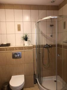 Kúpeľňa v ubytovaní Apartament i pokoje Szalawa