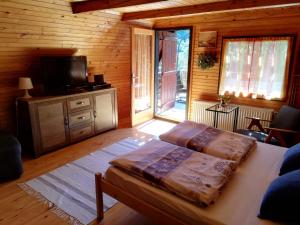 Televízia a/alebo spoločenská miestnosť v ubytovaní Holiday Home Mreznica