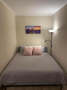 a bedroom with a bed with pink pillows at Apes ielas apartaments in Alūksne