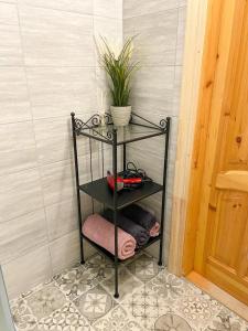 a black shelf with a plant on it next to a door at Apes ielas apartaments in Alūksne