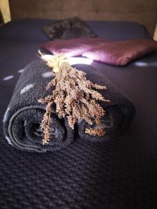 uma toalha preta com uma planta sobre uma cama em Casa Segota em Veli Iz