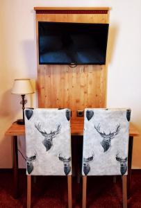 TV a/nebo společenská místnost v ubytování Hotel Paintner