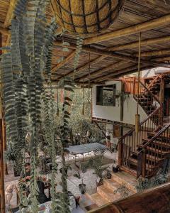 a living room with a palm tree in a house at Cinnamon House in Mindo