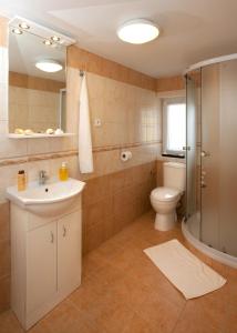 uma casa de banho com um lavatório, um WC e um chuveiro em Penzion Oregano Třeboň em Třeboň