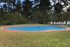 維德尼斯的住宿－The Rondi Hosted by Heritage Accommodation，草地上带椅子和狗的游泳池