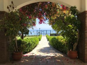 Ogród w obiekcie Marbella - Estepona beach frontline apartment