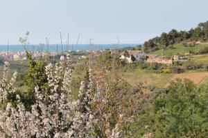 a bunch of flowers on a hill with houses at B&B Azzurra in Pescara