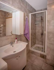 a bathroom with a sink and a shower at Apartment in Rovinj/Istrien 11491 in Štanga