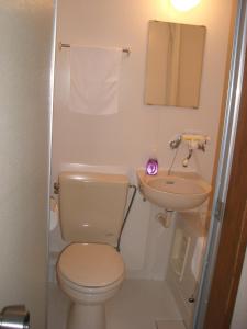 a bathroom with a toilet and a sink at Nagomi-tei in Hakuba