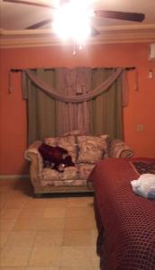 a living room with a couch and a bed at Brenda alicia in Puerto Peñasco