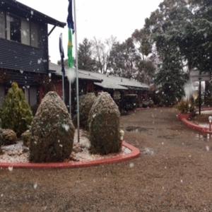 ベリデールにあるCottonwood Lodgeの建物前の茂み