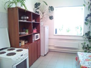 A cozinha ou cozinha compacta de Гостиница Фотон