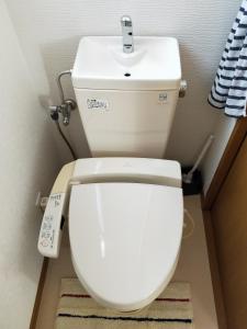 Koupelna v ubytování Izu Shirada Villa 伊豆白田家