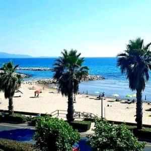 フォッローニカにあるCasa al mareのヤシの木と海の景色を望む