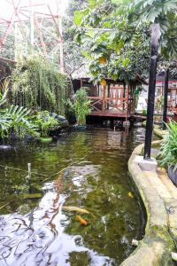 un jardin avec un étang avec des cerfs-volants dans l'établissement Hotel Pesona Merak, à Merak