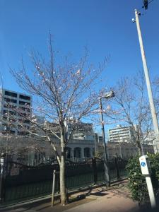 a tree in front of a fence and a building at Share House on the Hill in Yokohama