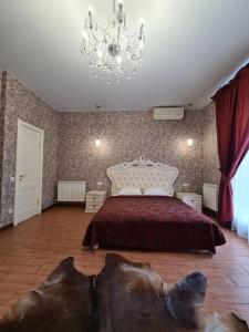 スタールイ・オスコルにあるMini Hotel Severnayaのベッドルーム1室(犬が床に寝ているベッド1台付)
