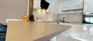 Kuchyň nebo kuchyňský kout v ubytování Guest House Galeb2