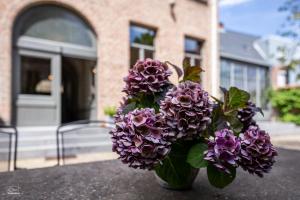 Zahrada ubytování B&B La Corderie