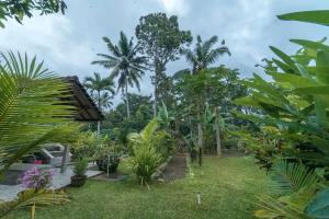 a garden with palm trees and plants at Vaneka Garden House in Ubud