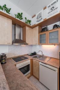 Η κουζίνα ή μικρή κουζίνα στο Apartments Riva Lucija