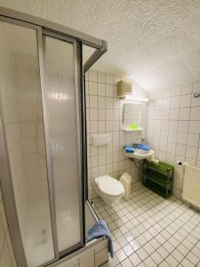 y baño con ducha, aseo y lavamanos. en Haus Rosenbaum Gruppenhaus- Begegnungsstätte - Pension en Neuhaus am Rennweg
