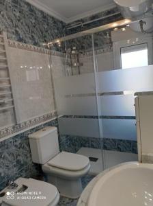 a bathroom with a toilet and a shower and a sink at Bermejo Apartamento in Candás