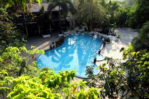 an overhead view of a large blue swimming pool at Pali Village Resort in Mire