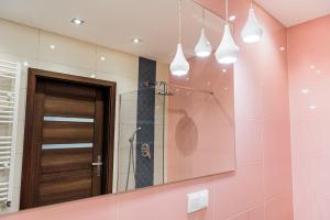 a bathroom with a shower and a mirror at Bulwar Apartament in Głogów +10 photos