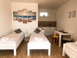 Kuchyň nebo kuchyňský kout v ubytování Studio apartmani Alex Doll