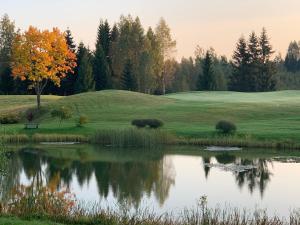 a pond in the middle of a field with trees at Pie Ezerrozēm in Kavari