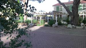 a house with a tree and a brick driveway at Le Parasol in Ars-en-Ré