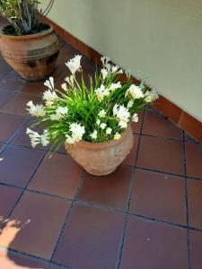 two pots of flowers sitting on a tiled floor at I Naviganti in Taormina