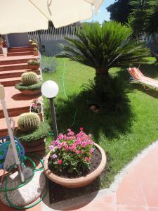 a garden with potted plants and flowers on a patio at Acquamarina in Civitavecchia