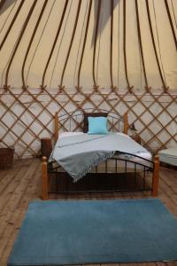 Gallery image of South Downs Eco Lodge & Camping in East Meon