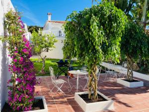 Zahrada ubytování Apartments with tropical garden and sea water pool