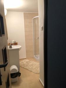 a bathroom with a shower and a sink at Vila Kost in Sobotka