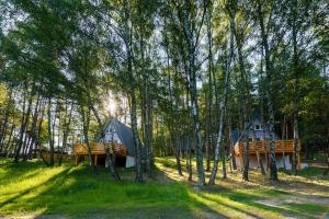 domek w lesie z drzewami w obiekcie Duża Woda w mieście Dąbrówno
