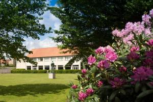 Vườn quanh Hotel Norden
