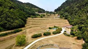 an aerial view of a farm with a winding road at Borgo Paradiso in Tignale