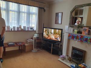 a living room with a tv and a fireplace at Eltham-Lee in Eltham