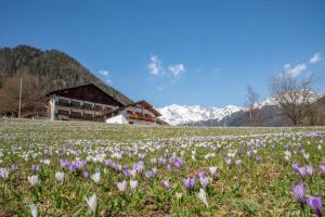 Fotografia z galérie ubytovania Hotel Ultnerhof v destinácii Santa Gertrude nella Val d'Ultimo