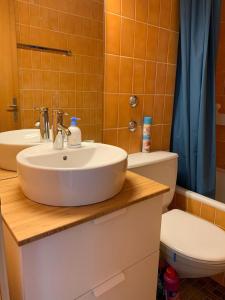 łazienka z umywalką i toaletą w obiekcie Roc d'Orsay E48 w mieście Leysin