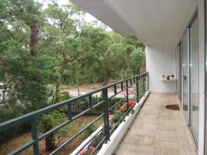 een balkon met uitzicht op de bomen bij Appartement Pour 4 Personnes- Residence Sporting House in Hossegor