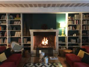 a living room with a fireplace and bookshelves at Les Aiguières en Provence in Suze-la-Rousse