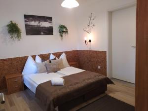 1 dormitorio con 1 cama grande en una habitación en AnitApartman, en Balatonfüred